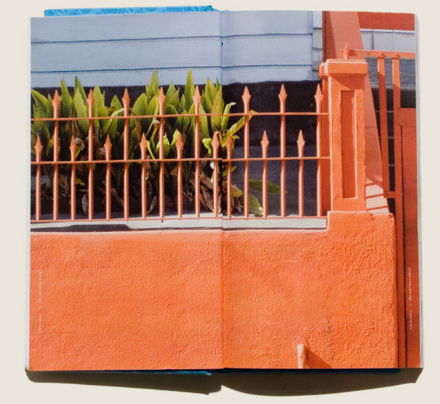 The Gilded Salvage Orange Fence by Kyle McGuire